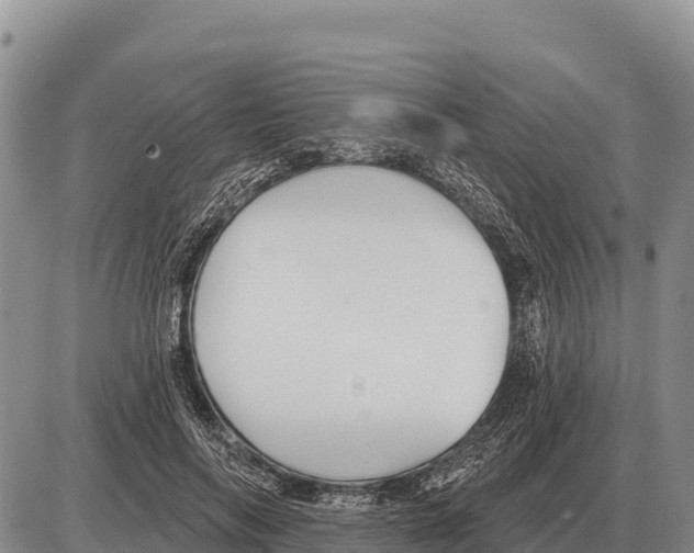 X0000086300694200704271827