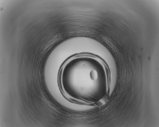 X0000086300696200704271827