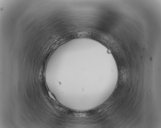 X0000086300698200704271827