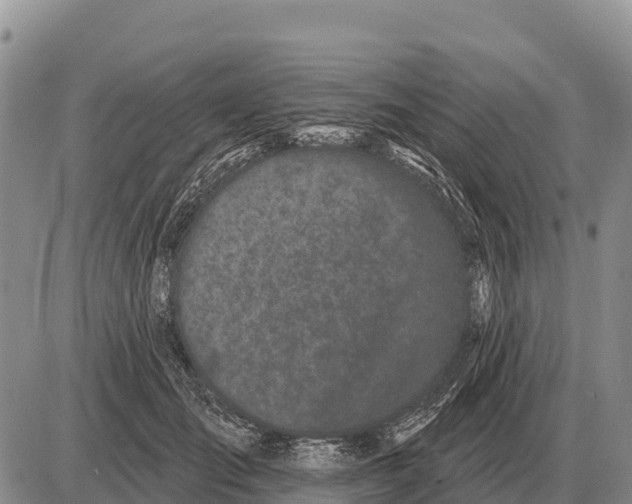 X0000086300701200704271827