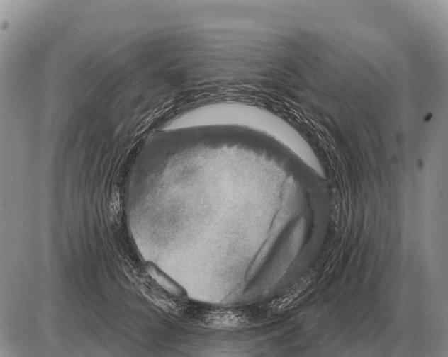 X0000086300704200704271827