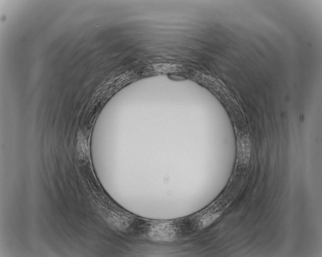 X0000086300705200704271827