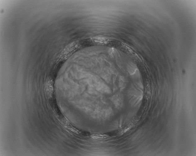 X0000086300707200704271827