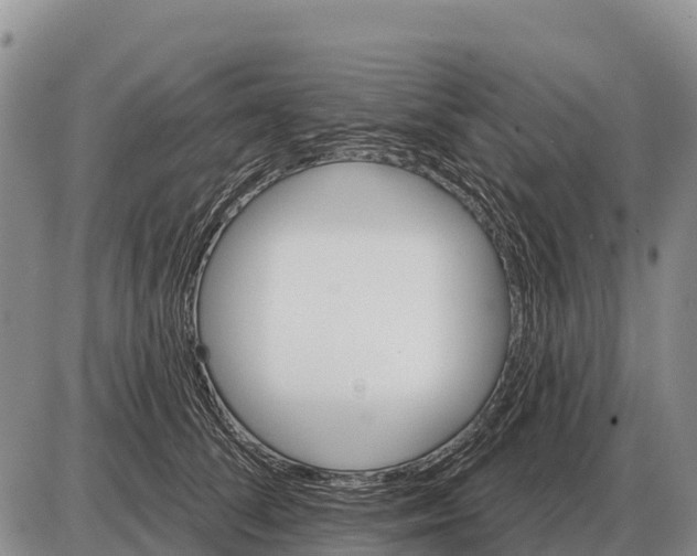 X0000086300708200704271827