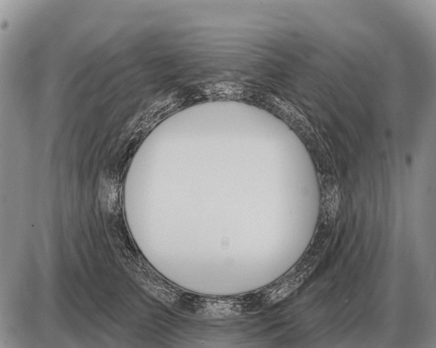 X0000086300709200704271827