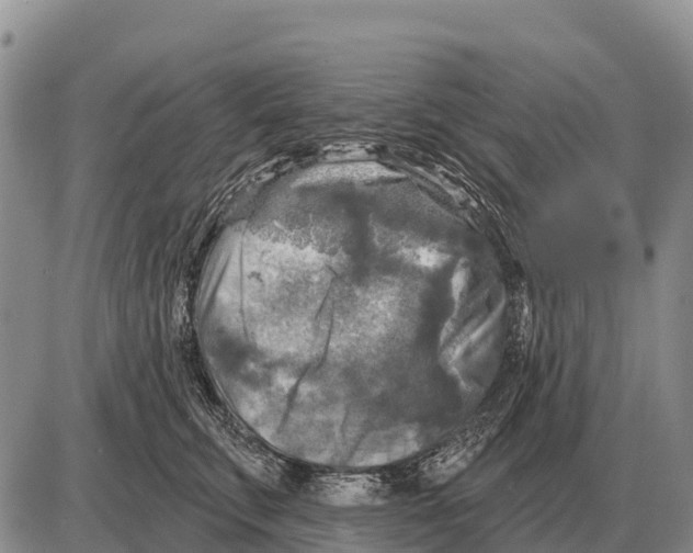 X0000086300711200704271827