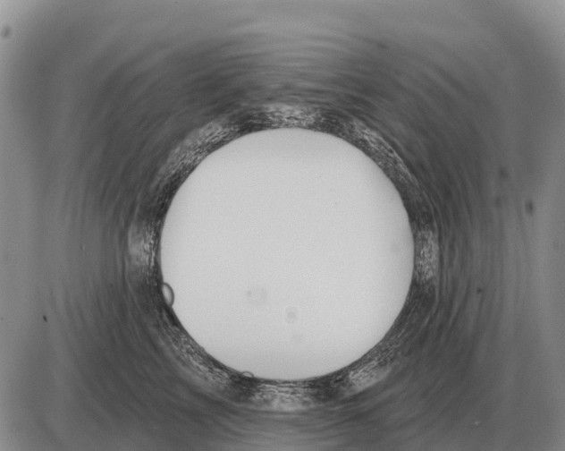 X0000086300713200704271827