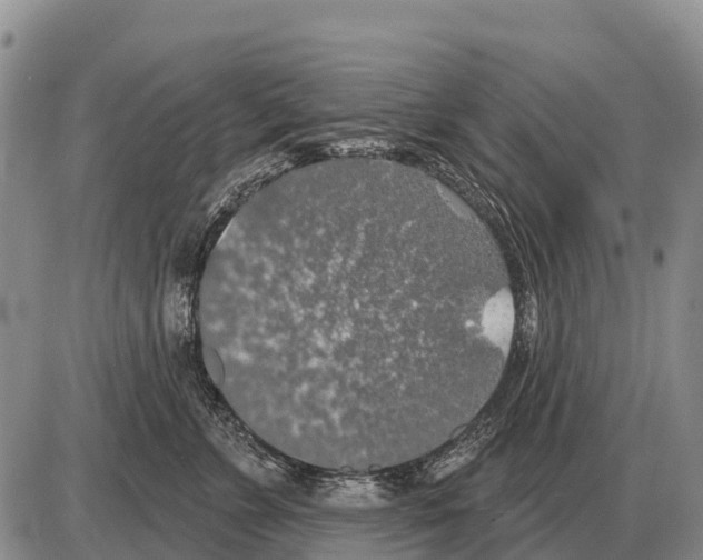 X0000086300715200704271827