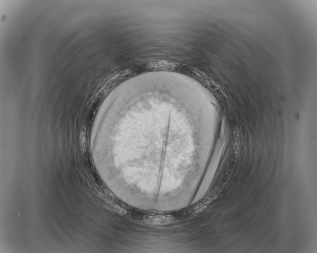 X0000086300716200704271827