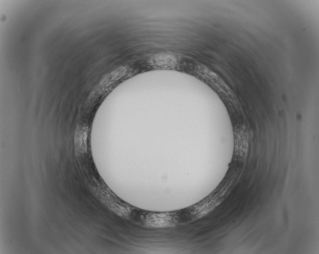 X0000086300717200704271827