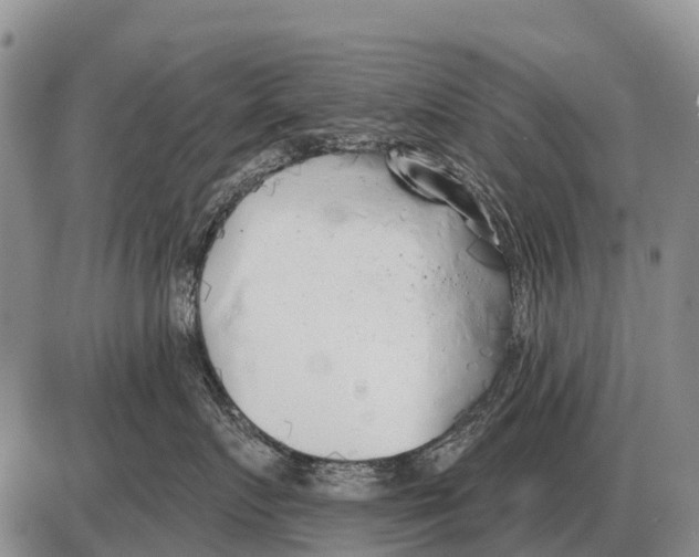 X0000086300719200704271827