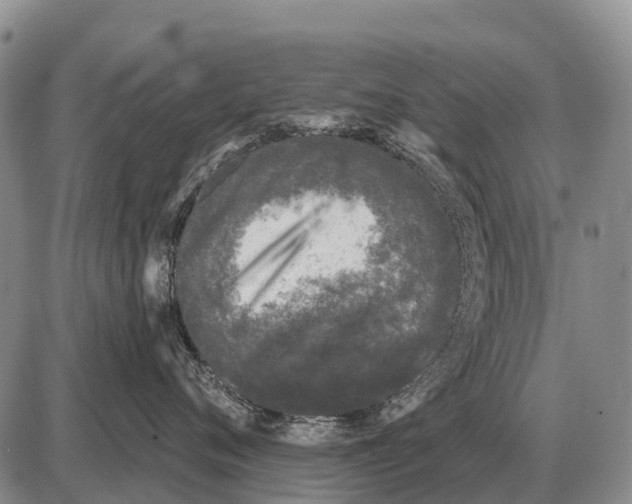 X0000086300720200704271827