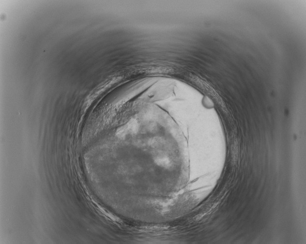 X0000086300721200704271826