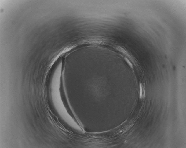 X0000086300723200704271826