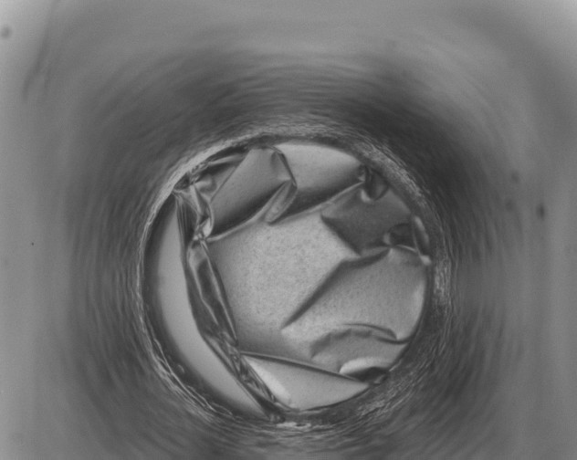 X0000086300724200704271826