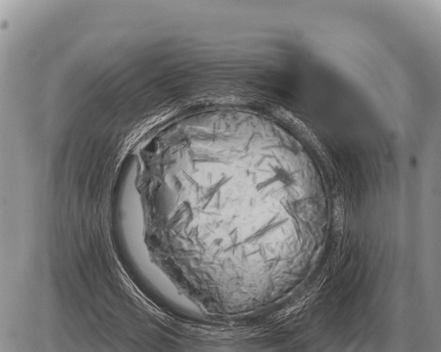 X0000086300725200704271826