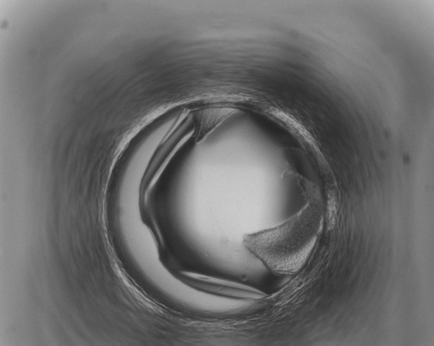 X0000086300726200704271826