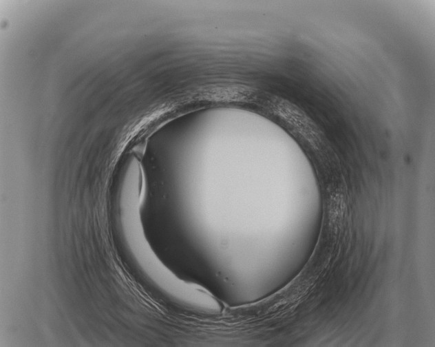 X0000086300727200704271826