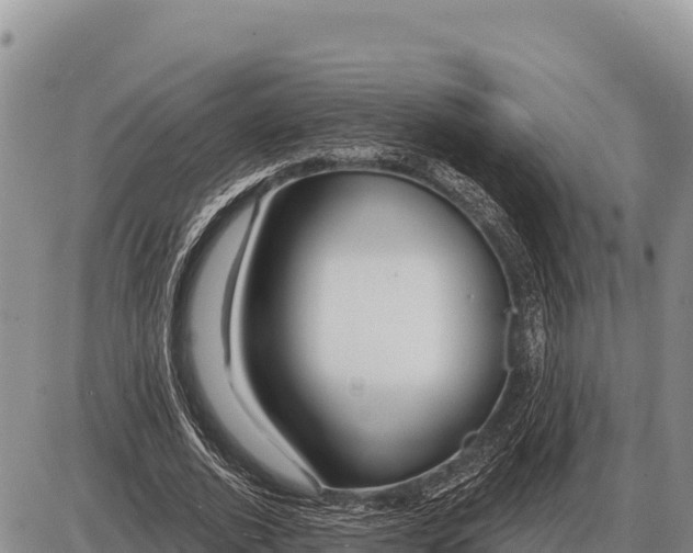 X0000086300728200704271826