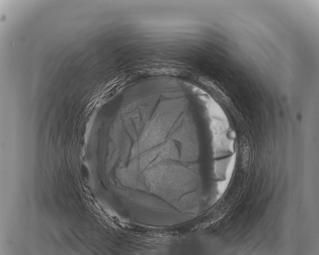 X0000086300729200704271826