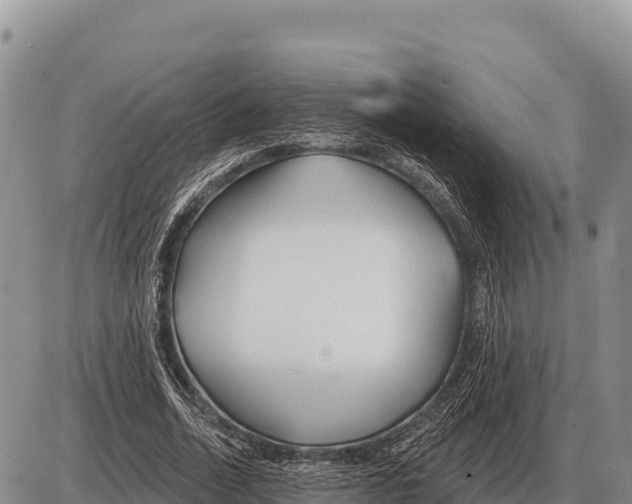 X0000086300730200704271826