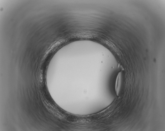 X0000086300731200704271826