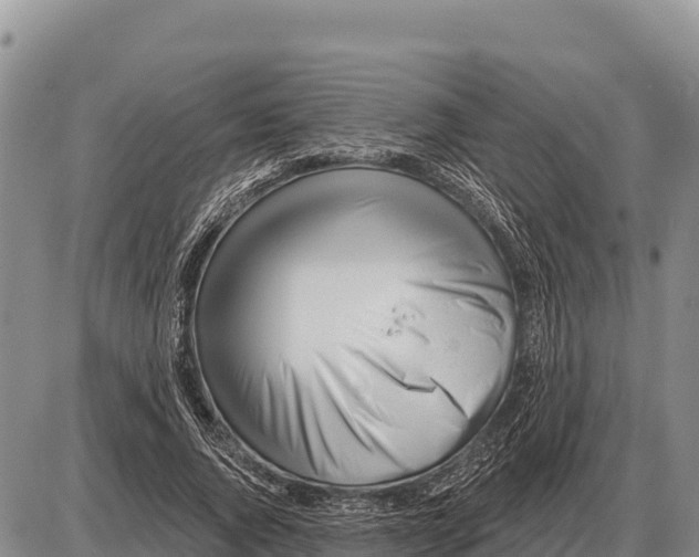 X0000086300736200704271826