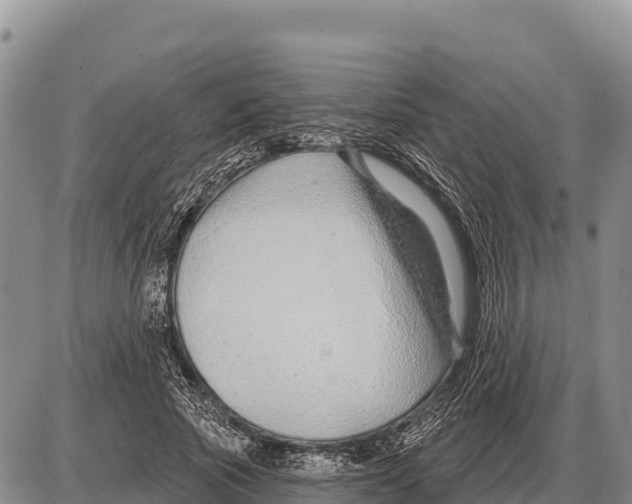 X0000086300737200704271826