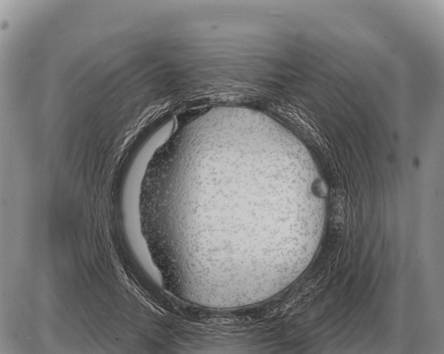 X0000086300738200704271826