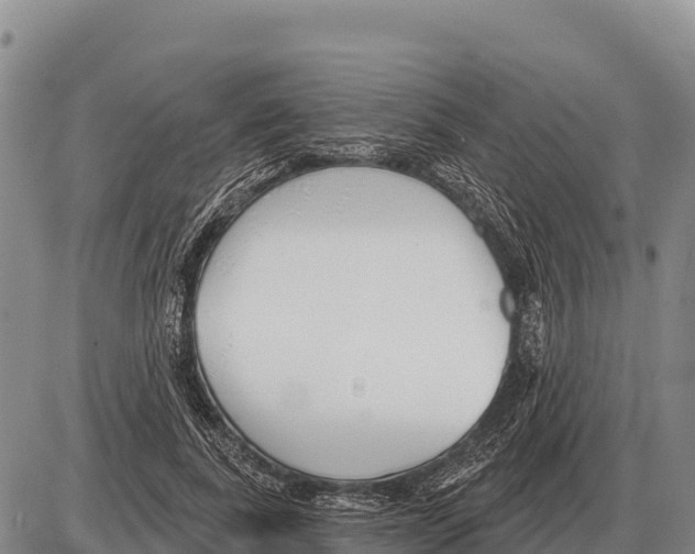 X0000086300739200704271826