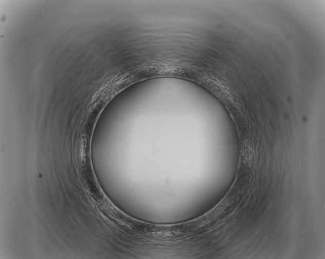 X0000086300740200704271826