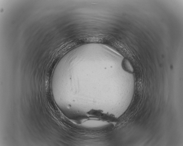 X0000086300741200704271826