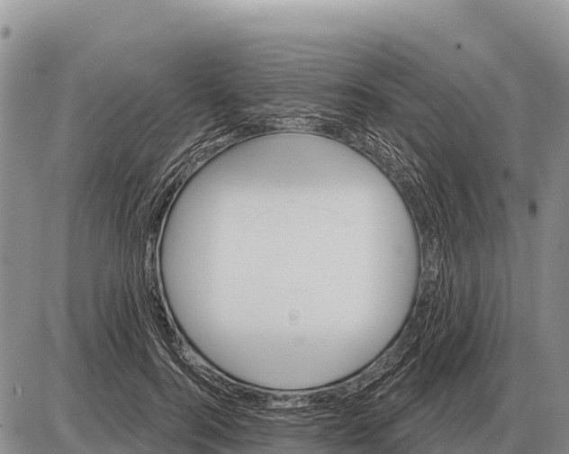 X0000086300744200704271826