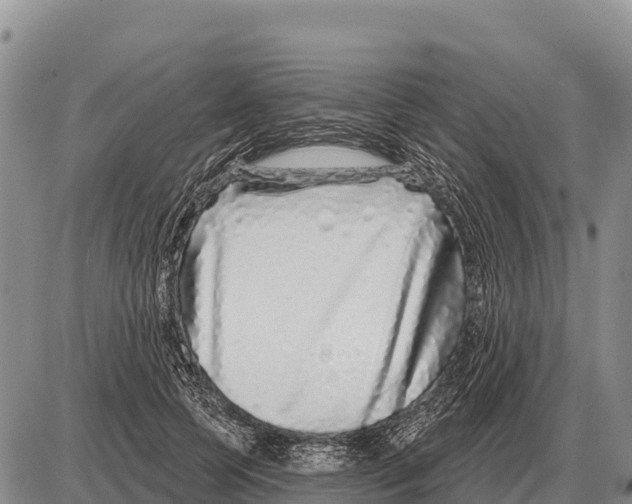 X0000086300745200704271826