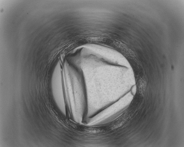 X0000086300746200704271826