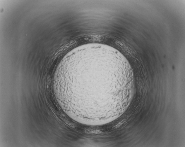 X0000086300747200704271826