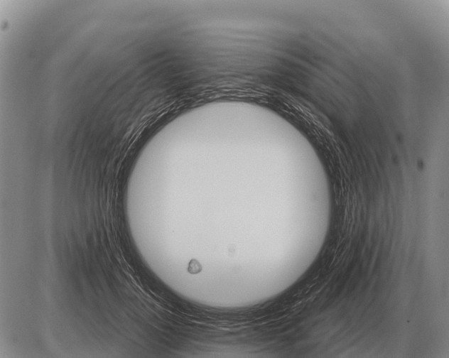 X0000086300748200704271826