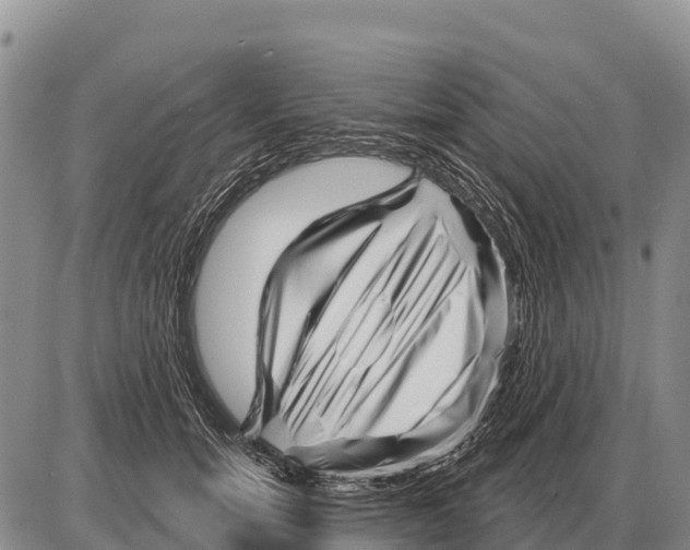 X0000086300750200704271826