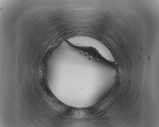 X0000086300751200704271826