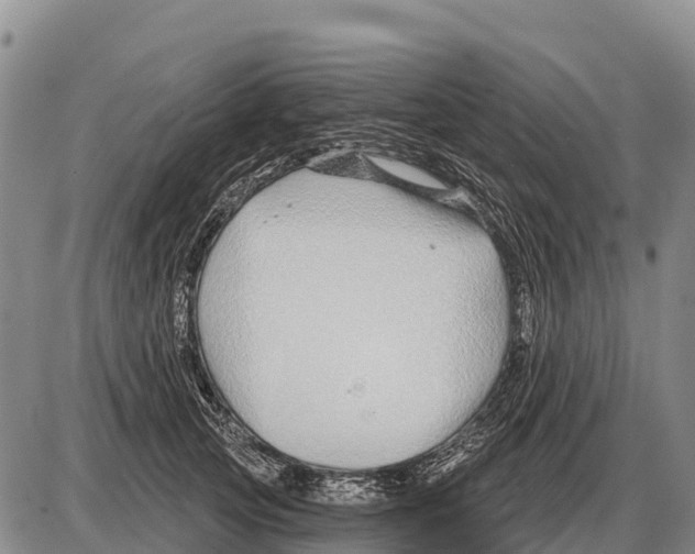 X0000086300753200704271827