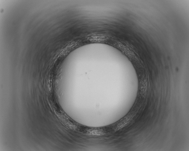 X0000086300755200704271827