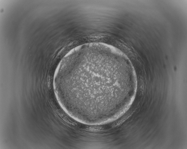 X0000086300758200704271827