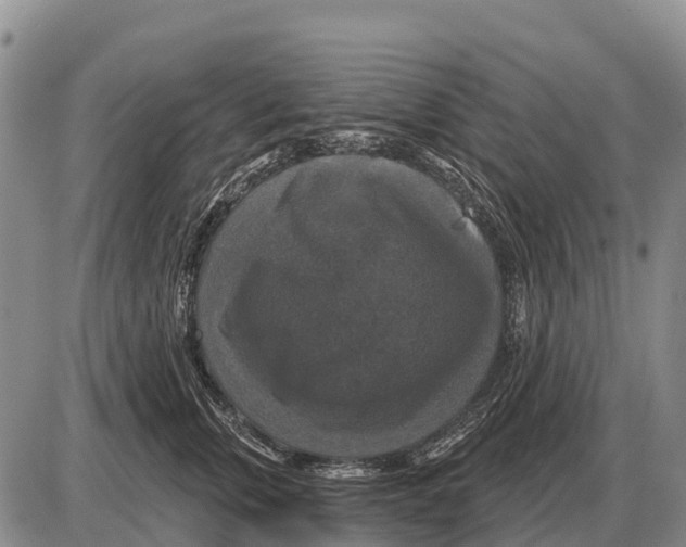 X0000086300759200704271827