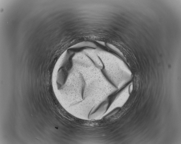 X0000086300760200704271827