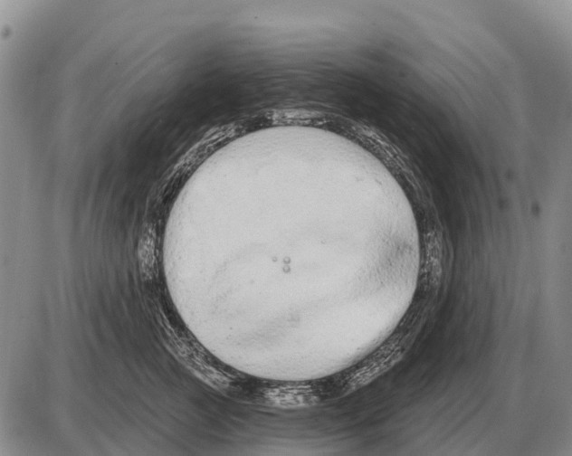 X0000086300761200704271827