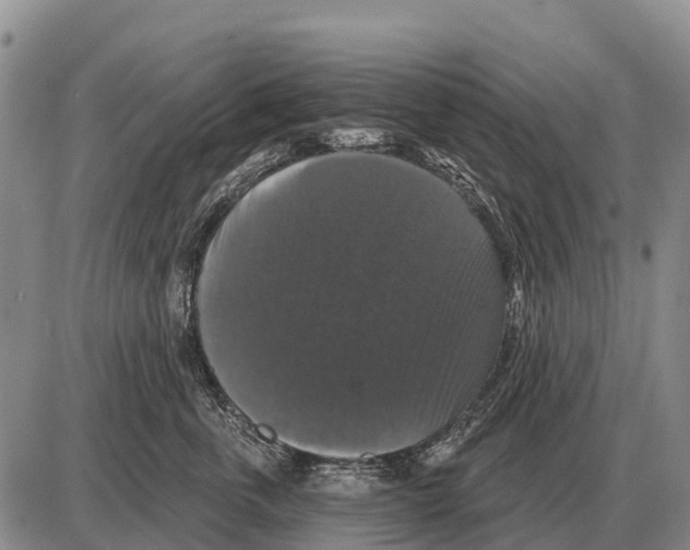 X0000086300763200704271827