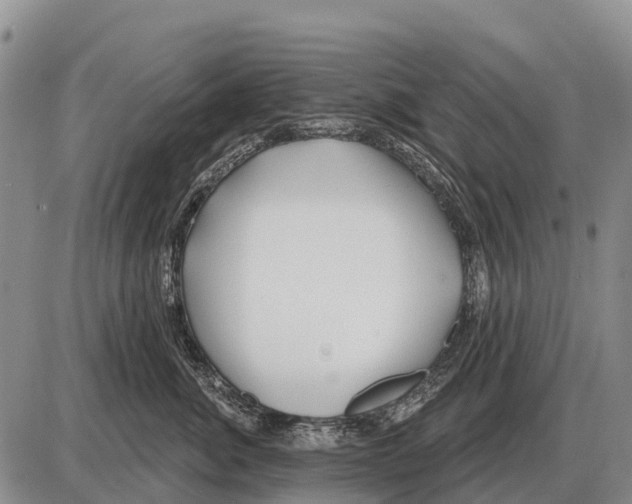 X0000086300764200704271827