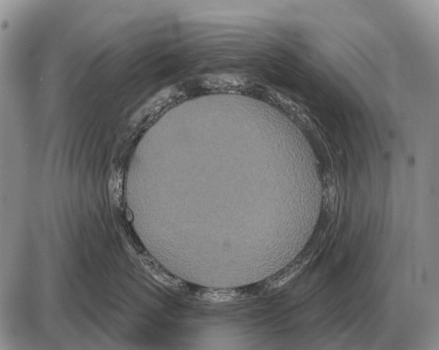 X0000086300767200704271827