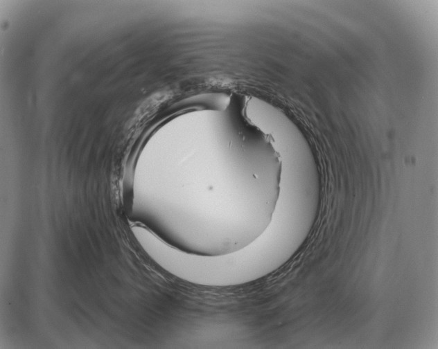 X0000086300768200704271827