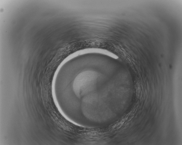 X0000086300769200704271826